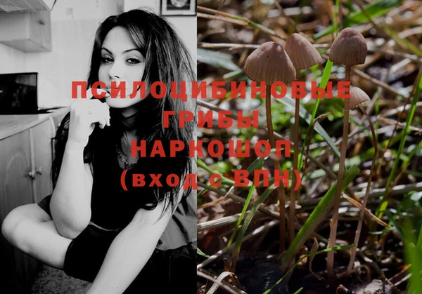 дурь Богданович