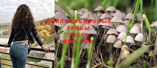 дурь Богданович