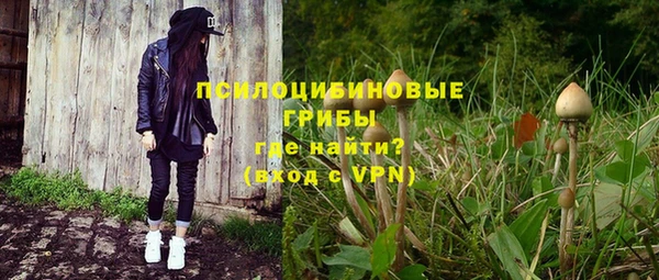 дурь Богданович