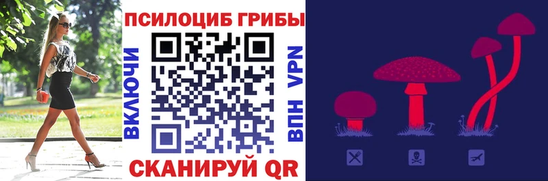 Галлюциногенные грибы прущие грибы  Кедровый 